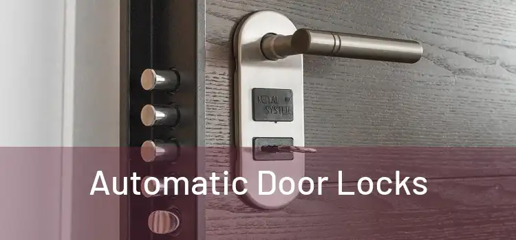 Automatic Door Locks